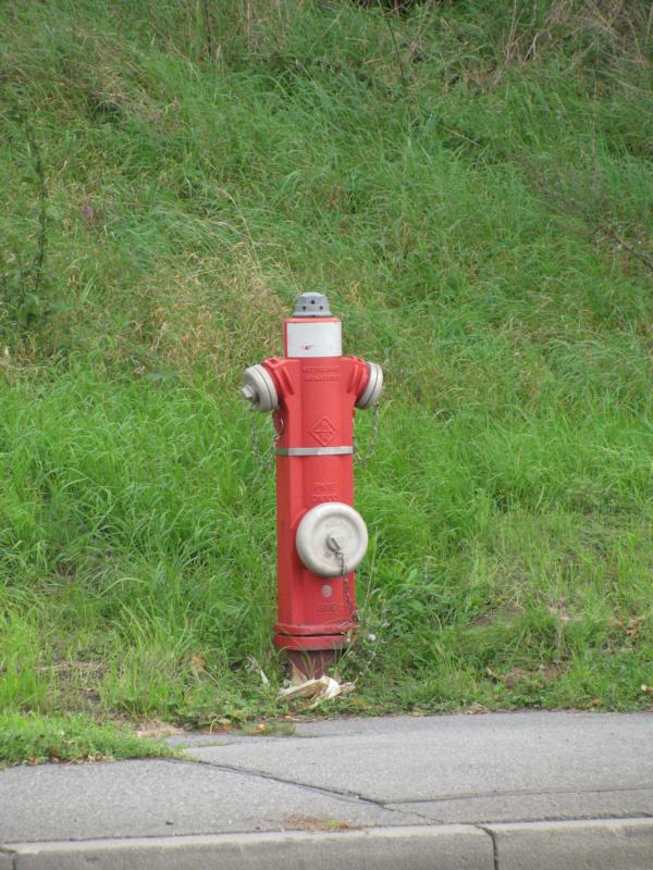 Baddeckenstedt Zur Rast