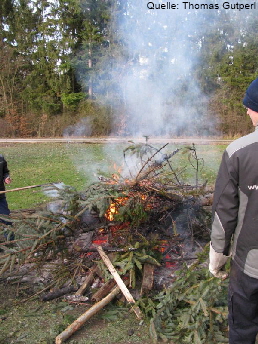 Weihnachtsbaumaktion 2013