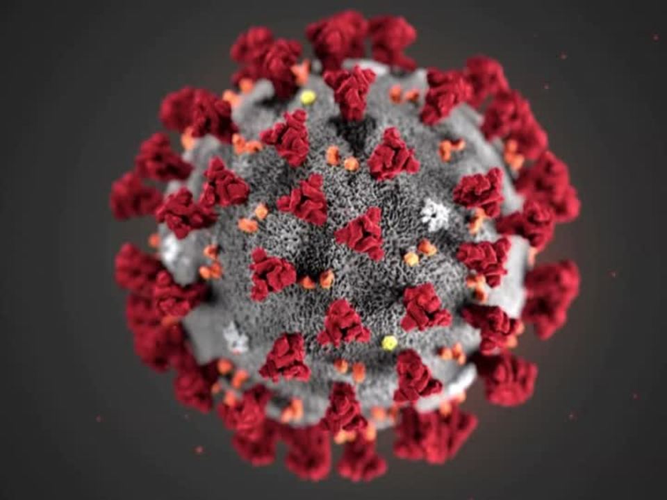 coronavirus